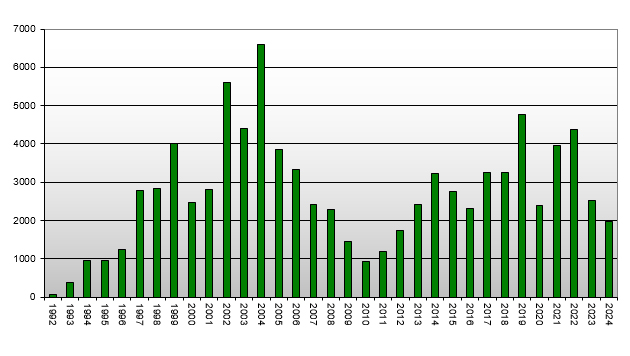 New Zealand Property- Apartment Consents by Year (1990 - 2024)