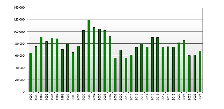 New Zealand Real Estate - Sales by Year (1992 - 2024)